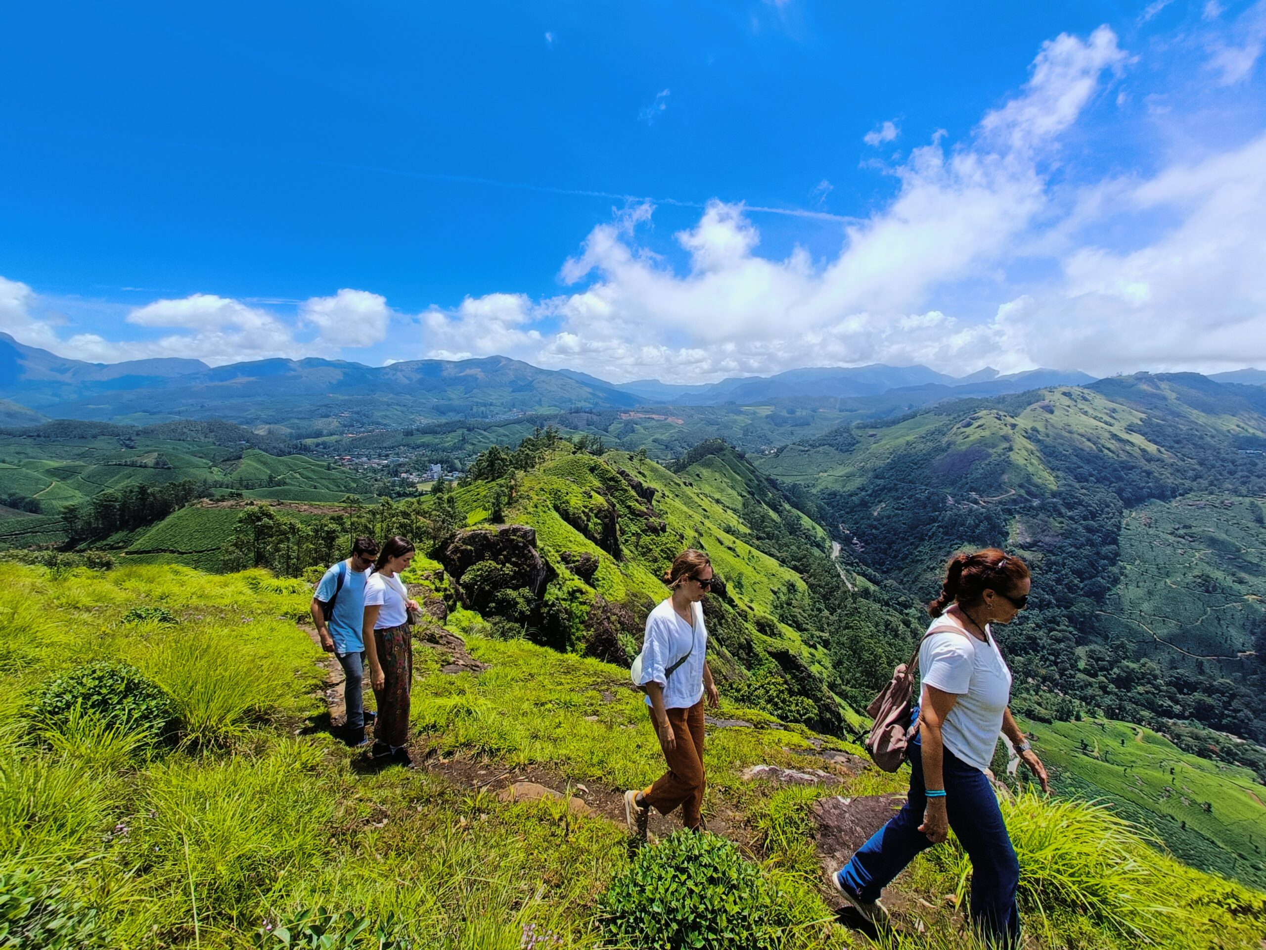 Munnar Tea Plantations