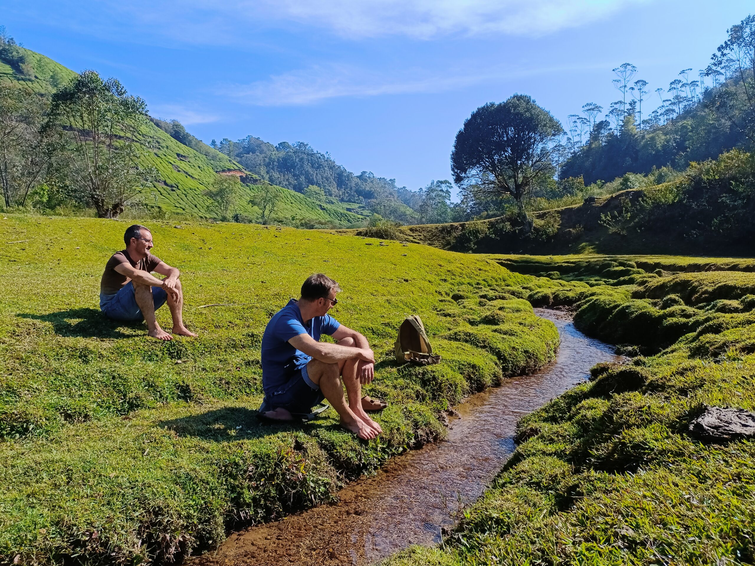 Munnar Tea Plantations