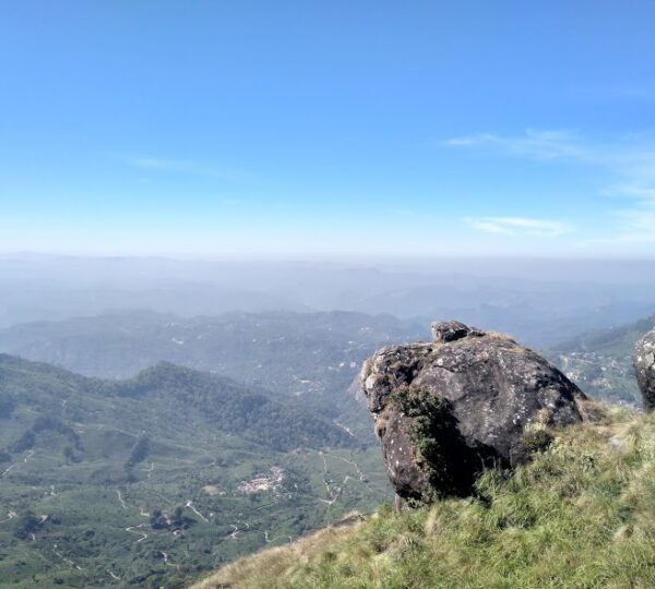 Munnar Valley Trekking