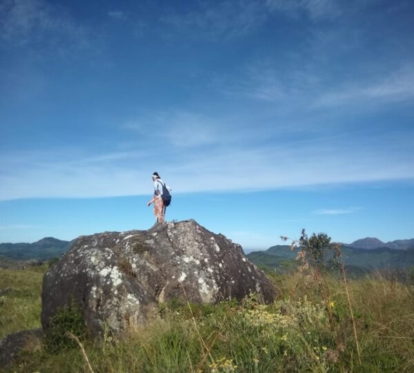 Munnar Valley Trekking
